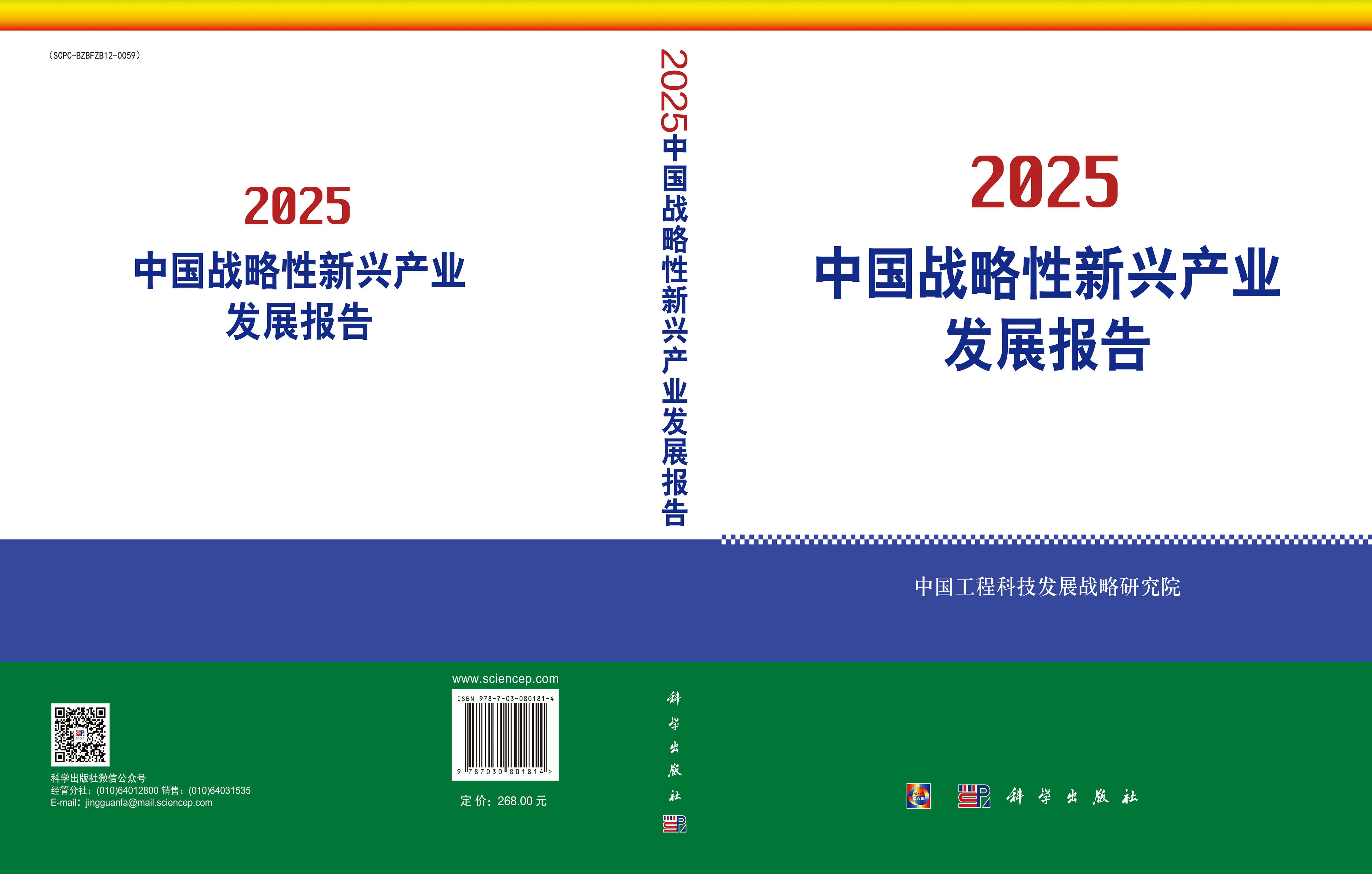 2025中国战略性新兴产业发展报告