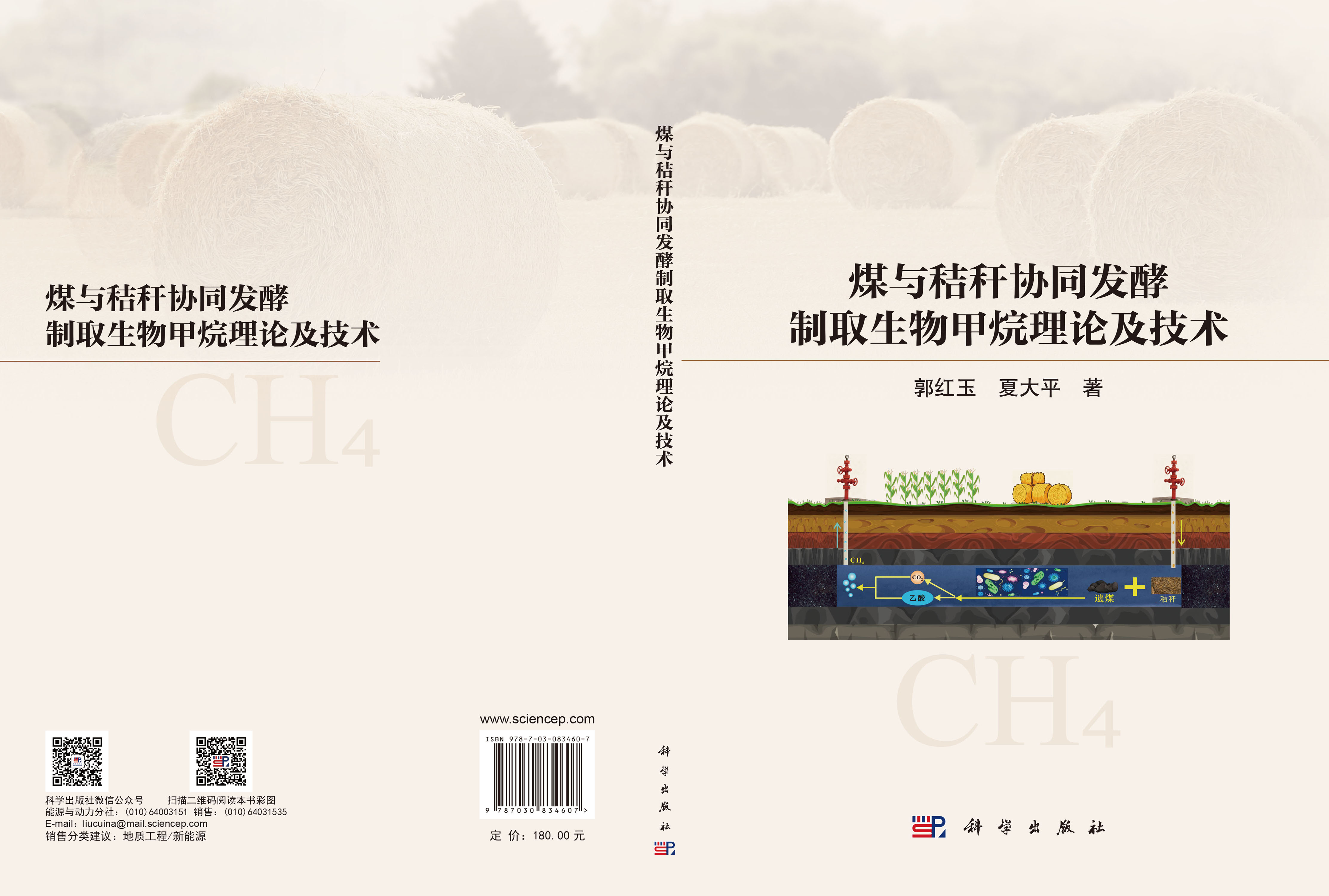 煤与秸秆协同发酵制取生物甲烷理论及技术
