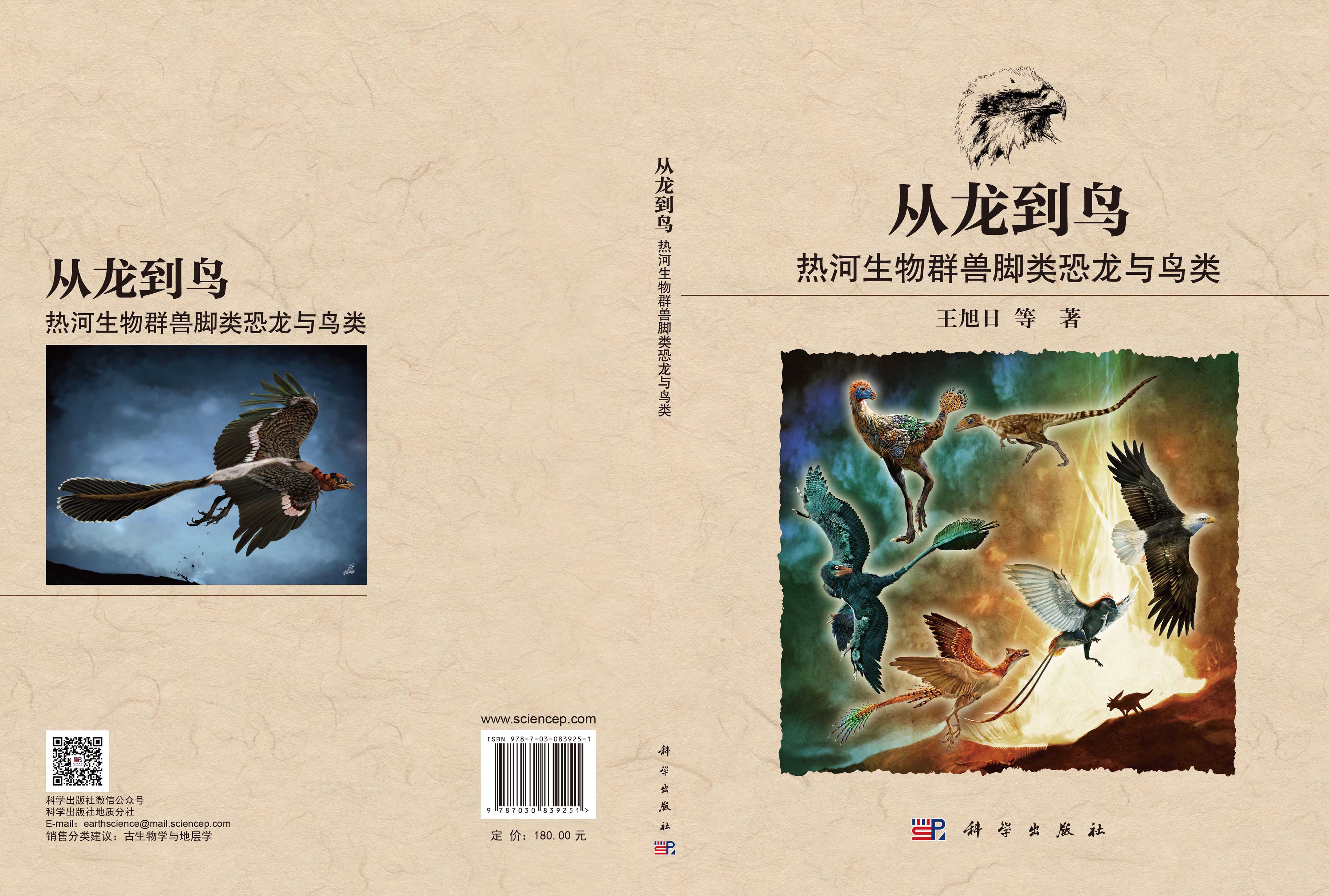 从龙到鸟：热河生物群兽脚类恐龙与鸟类