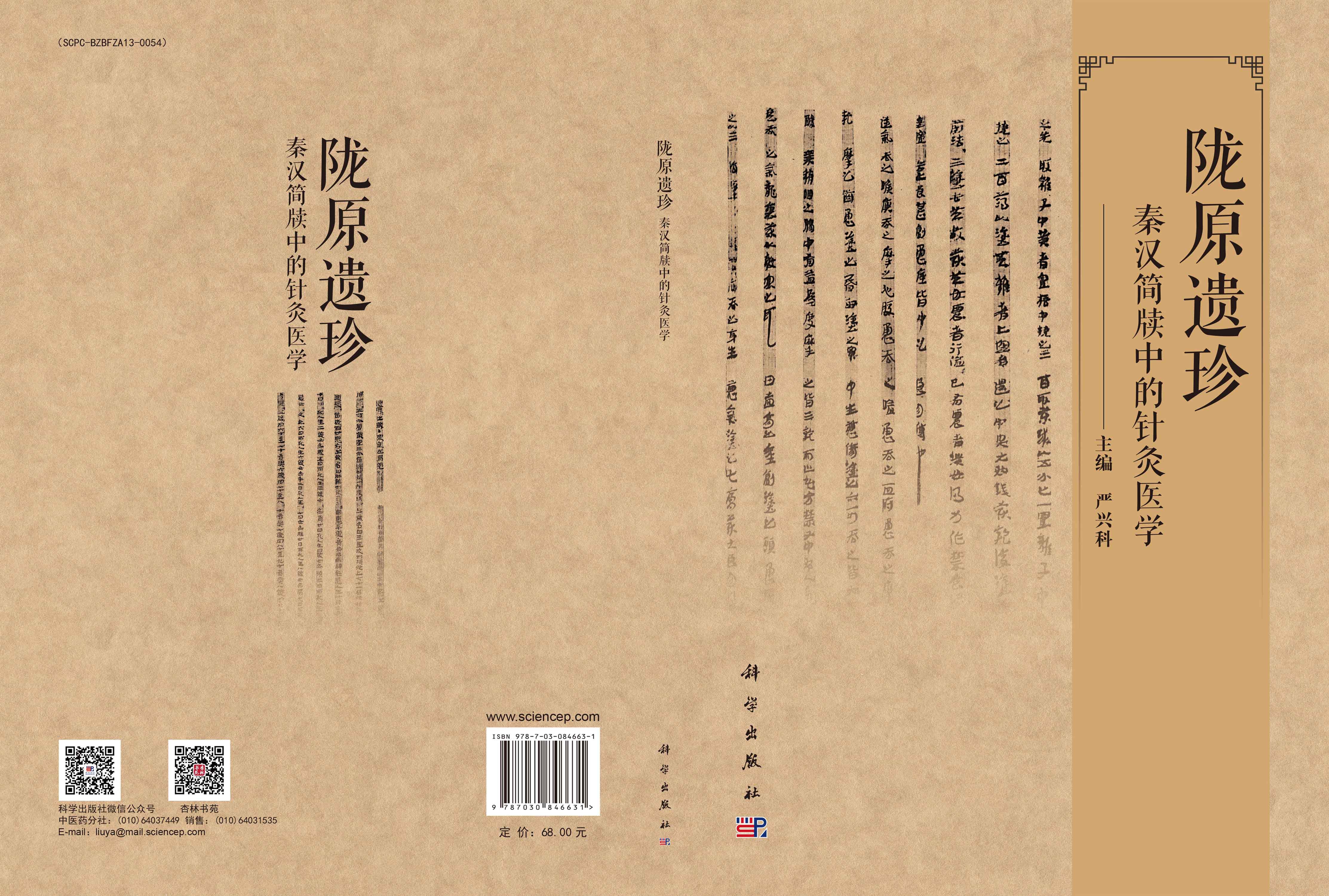 陇原遗珍 秦汉简牍中的针灸医学