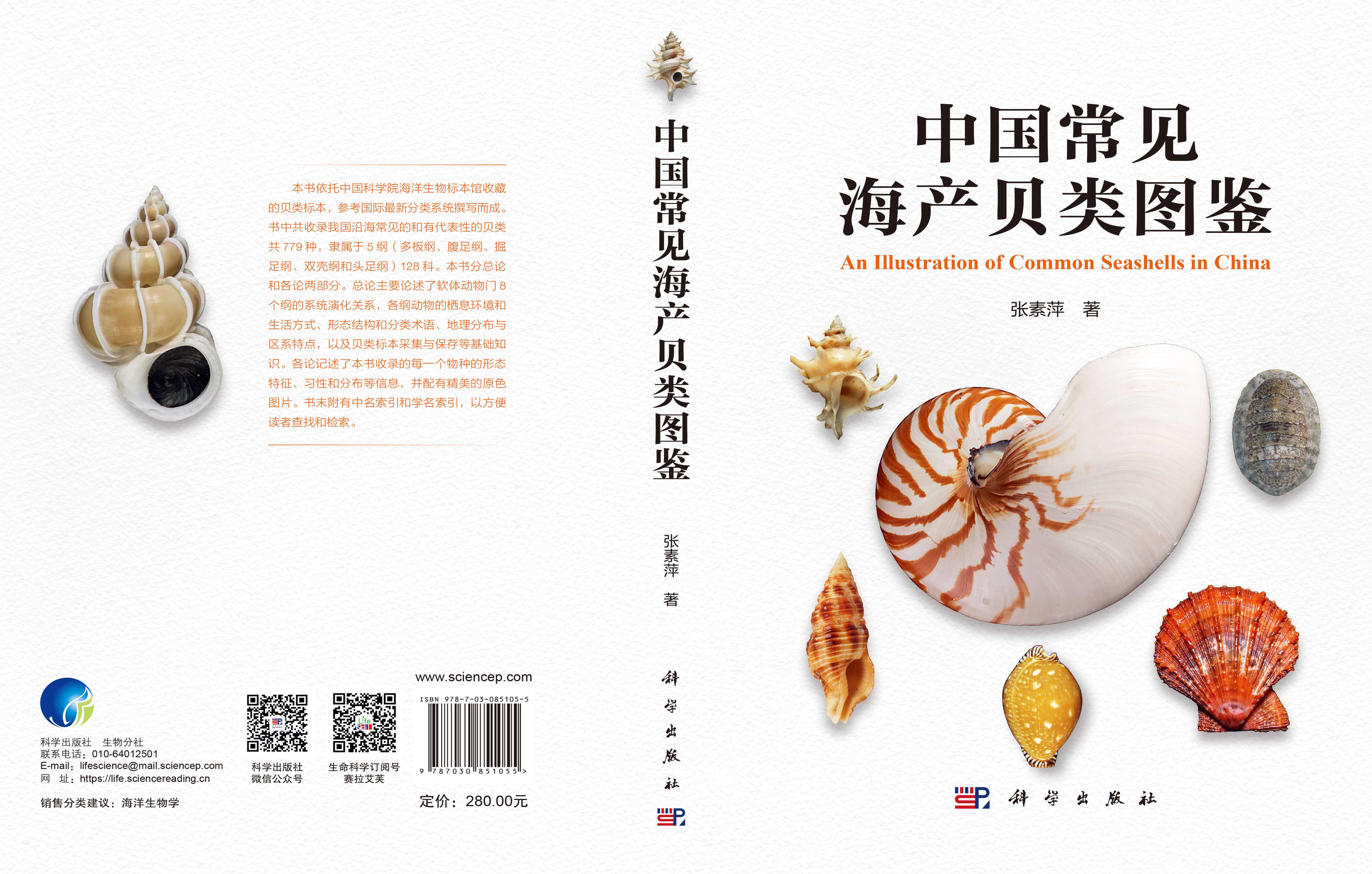 中国常见海产贝类图鉴