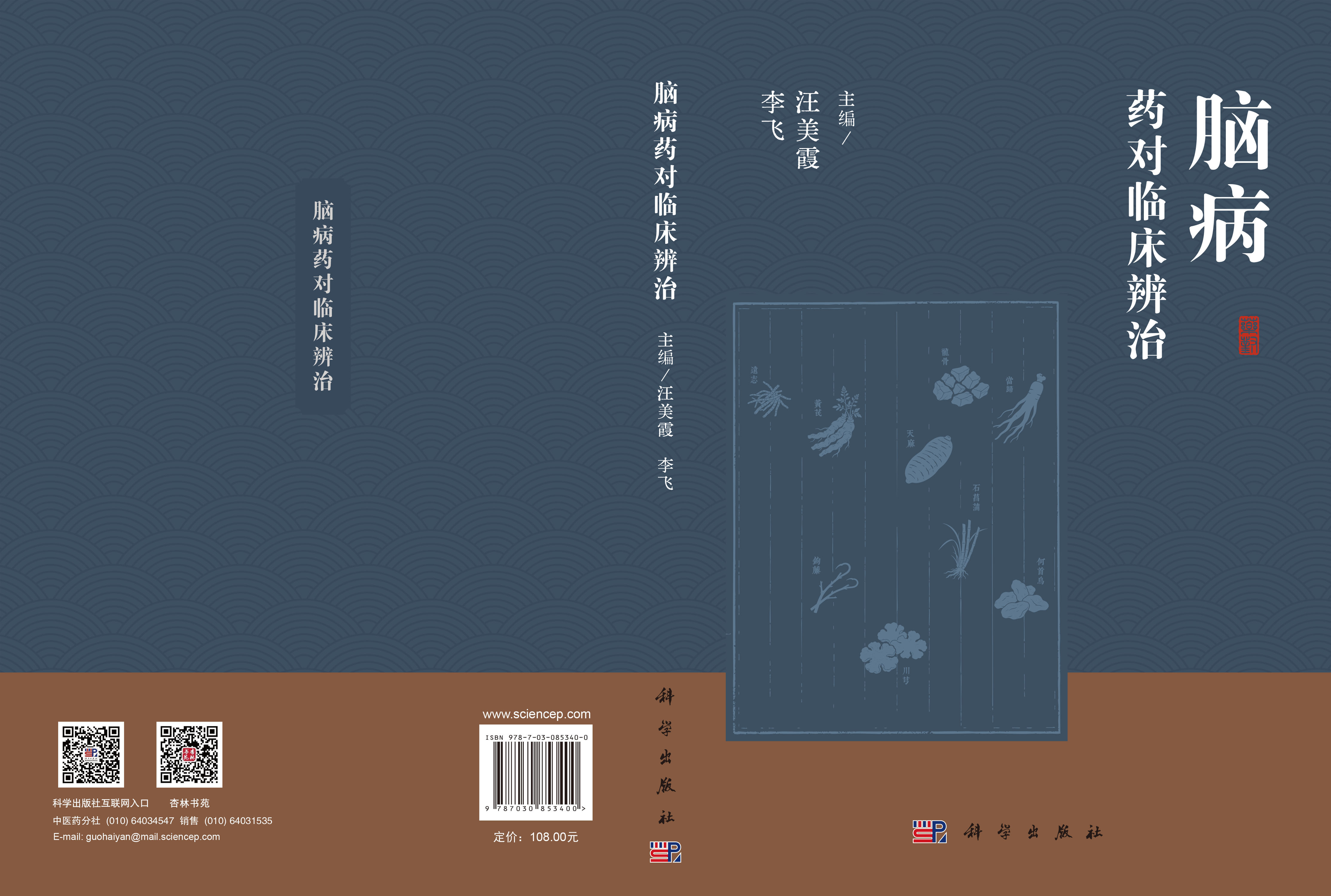 脑病药对临床辨治