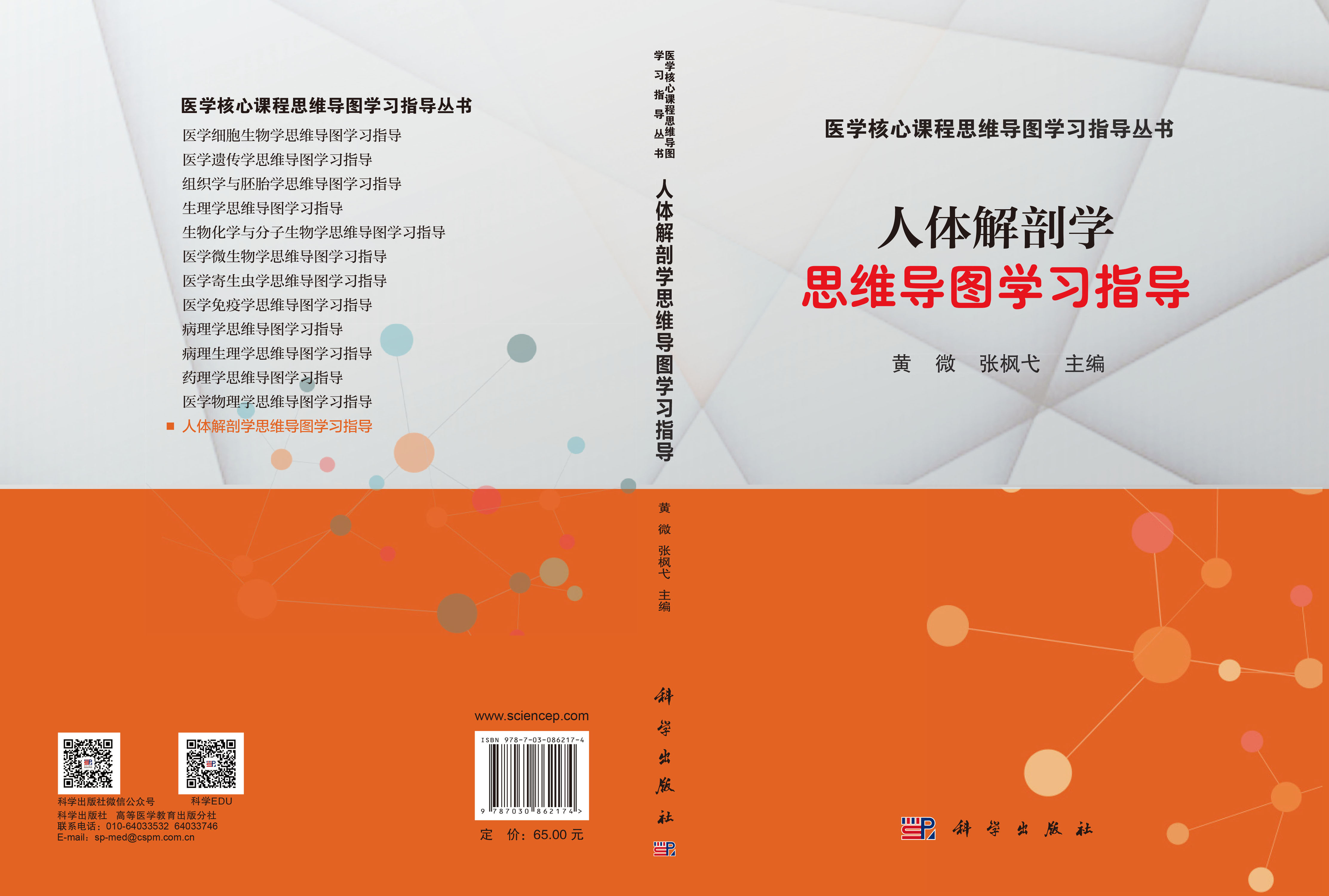人体解剖学思维导图学习指导