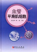 血管平滑肌细胞