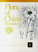 中国植物志图集  第六卷 （英文版）
