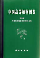 中国高等植物图鉴 第四册