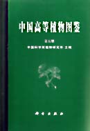 中国高等植物图鉴 第五册