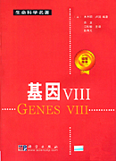 基因VIII（翻译）