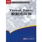Visual Basic数据库应用