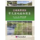 云南高原湖滨常见湿地植物图鉴