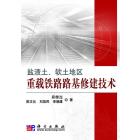 盐渍土软土地区重载铁路路基修建技术