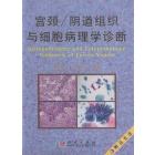 阴道/宫颈组织与细胞病理学诊断