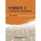 中国农民工生活质量评价与保障制度研究