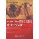 Visual Basic管理信息系统项目开发实践
