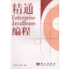 精通Enterprise JavaBeans编程