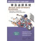肾及泌尿系统