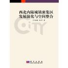 西北内陆城镇密集区发展演化与空间整合