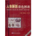人体解剖彩色图谱