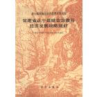 甘肃省正宁县综合治理与经济发展战略规划