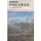 中国的青藏高原