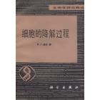 细胞的降解过程