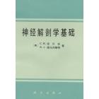 神经解剖学基础