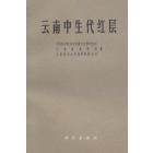 云南中生代红层