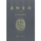舞阳贾湖—新石器时代遗址发掘与研究(上下)