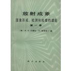 放射成象　图象形成、检测和处理的理论　第一卷