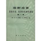 放射成象　图象形成、检测和处理的理论　第一卷