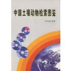 中国土壤动物检索图谱
