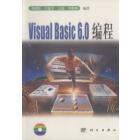Visual Basic 6.0 编程