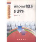 Windows电算化会计实务