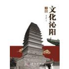 文化沁阳（上下册）