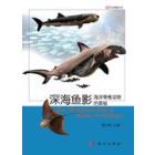 深海鱼影海洋脊椎动物的奥秘