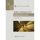 漫滩软土地铁隧道运营期沉降监控理论与技术