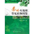 秦岭火地塘常见植物图鉴