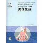 内分泌疾病百科6：男性生殖