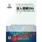 深入理解DNA