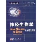 神经生物学——从神经元到脑