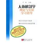 人体解剖学理论与实验学习指导