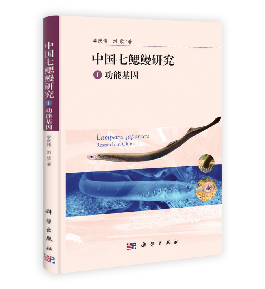 中国七鳃鳗研究