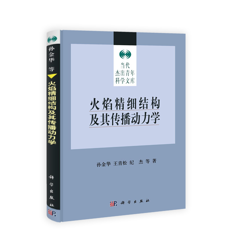 火焰精细结构及其传播动力学