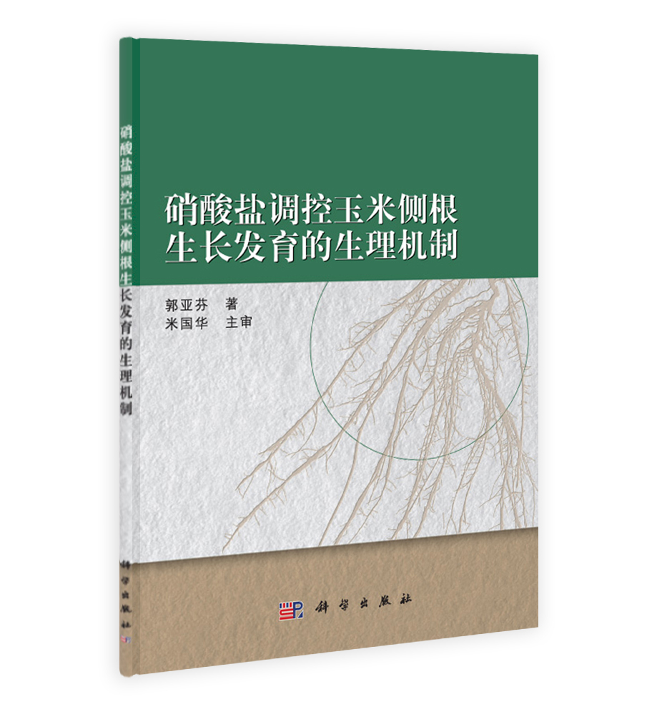 硝酸盐调控玉米侧根生长发育的生理机制