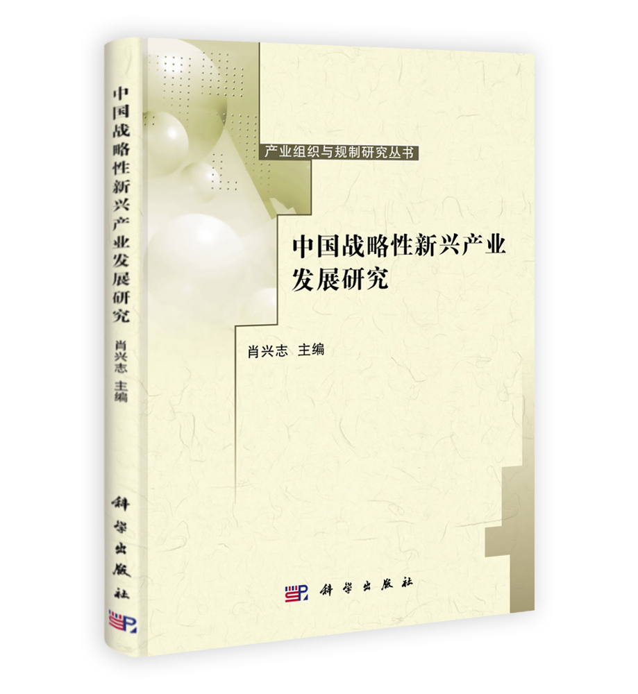 中国战略性新兴产业发展研究