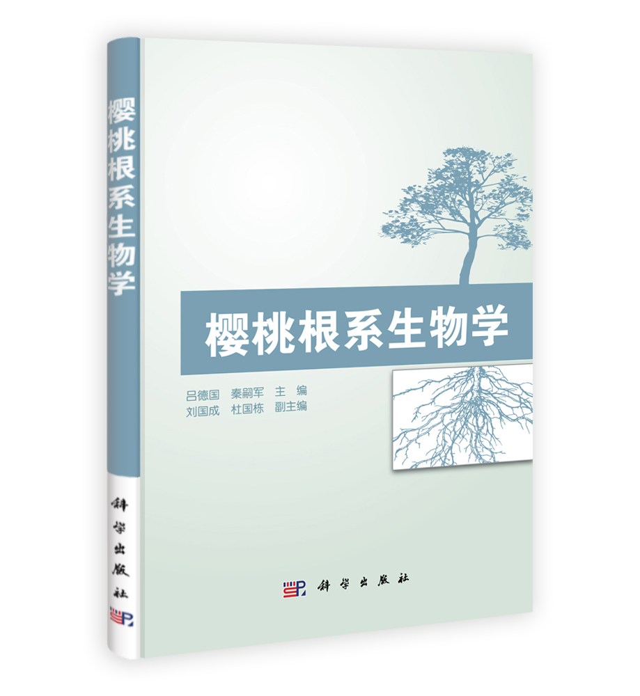 樱桃根系生物学