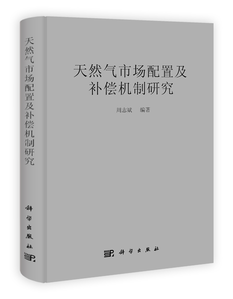 天然气市场配置及补偿机制研究