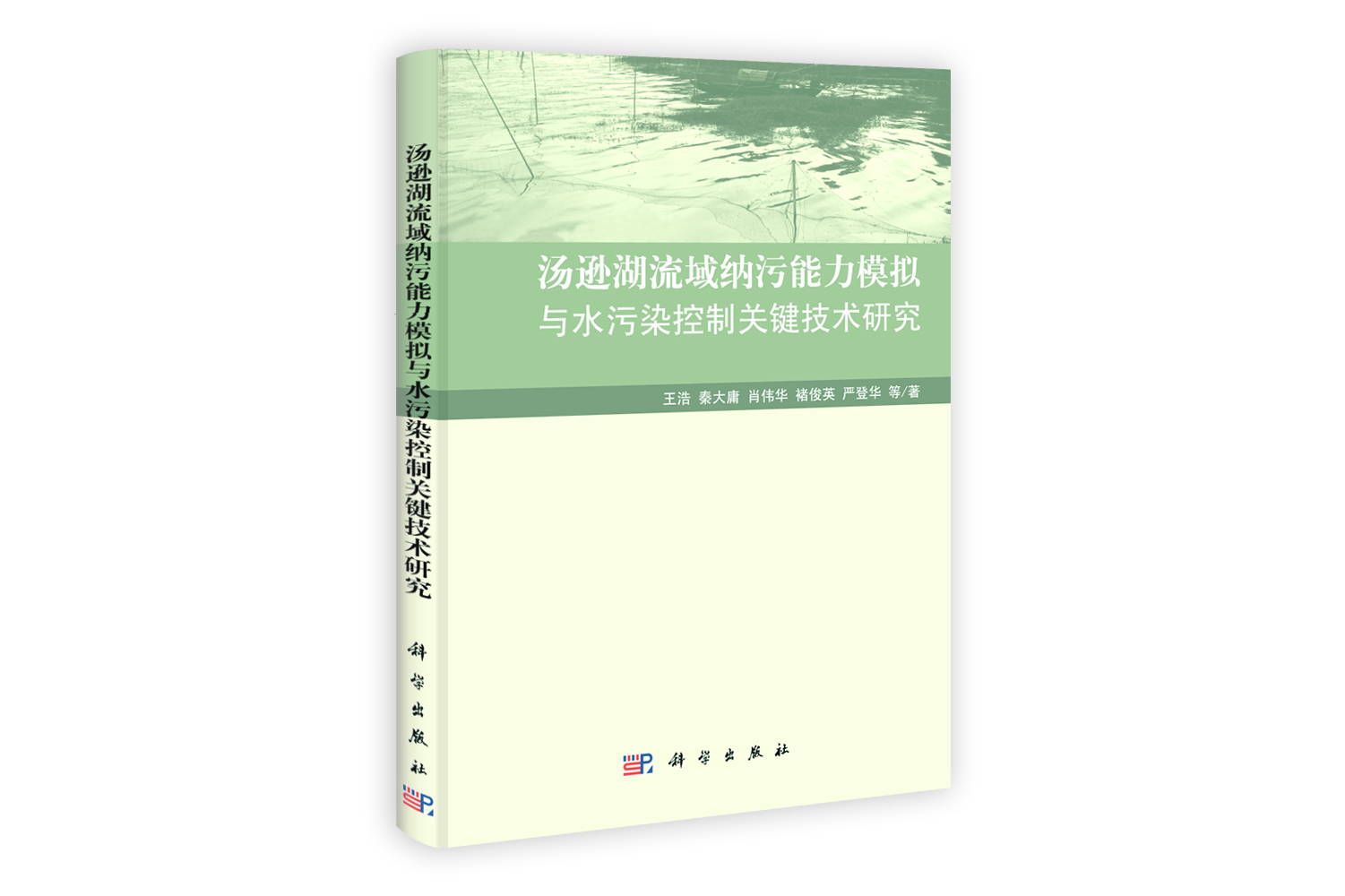 汤逊湖流域纳污能力模拟与水污染控制关键技术研究