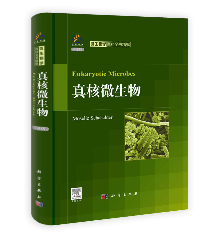 真核微生物（导读版）