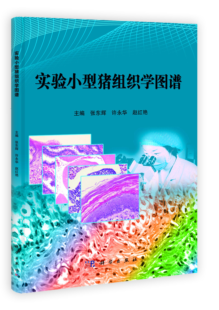 实验小型猪组织学图谱